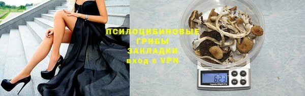 винт Нягань