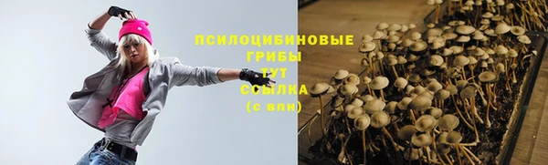 mix Абаза