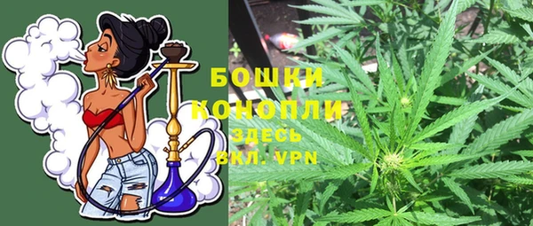 хмурый Няндома