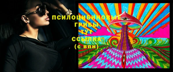 хмурый Няндома