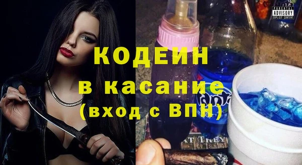 хмурый Няндома