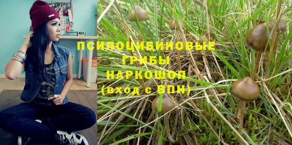 винт Нягань