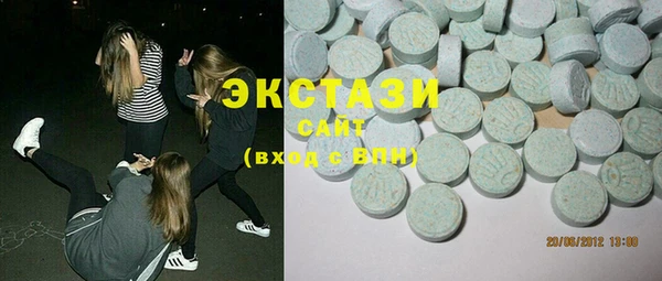 хмурый Няндома