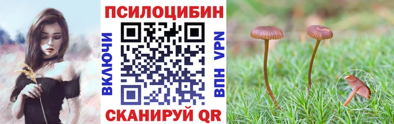Псилоцибиновые грибы GOLDEN TEACHER  что такое наркотик  Донецк 
